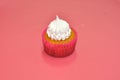 French cupcake Royalty Free Stock Photo