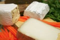 French delicatessen cheeses Royalty Free Stock Photo
