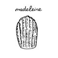 French dessert cookie Madeleine, hand drawing