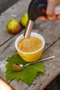 French dessert creme brulee in porcelain bowl on Royalty Free Stock Photo