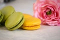 French dessert macarons with rose flower