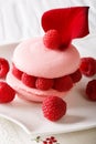 French dessert: Pink macaron with raspberry closeup on a plate.