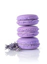 French dessert. Sweet lilac macaroons or macarons with lavender flavor and flower