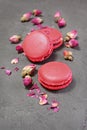 French dessert. Sweet pink macaroons or macarons with dry rose