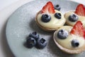 French dessert. tart with custard, fresh strawberries, blueberries and icing sugar Royalty Free Stock Photo