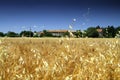 French farm house Royalty Free Stock Photo