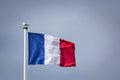 French flag waving in the air on a waterfront with a bird, a seagull, standing on it.