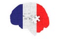 French flag painted on the brain from puzzles. Scientific research and education in France concept, 3D rendering