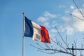 French flag waving on the wind Royalty Free Stock Photo