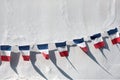 French Flags Royalty Free Stock Photo