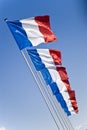 French flags Royalty Free Stock Photo