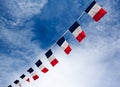 French flags w Royalty Free Stock Photo