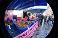 French food market selling oysters