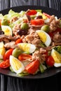 French food: nicoise salad with vegetables, eggs, tuna and anchovies close-up on a plate. vertical