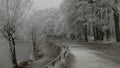 French forest in black and white sleeps under a blanket of snow