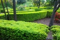 French formal garden Royalty Free Stock Photo