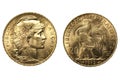 French 20 Francs gold coins Royalty Free Stock Photo