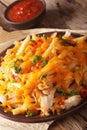 french fries with cheddar cheese and chicken meat macro. vertical
