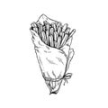 French fries in craft paper cone. Sketch style hand drawn illustration. Fried potato. Fast food retro artwork. Vector image Royalty Free Stock Photo