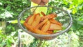 French fries in grid basket has nature green background Royalty Free Stock Photo