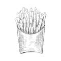French fries illustration, vector drawing