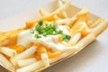 French Fries with Melted Cheese