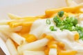 French Fries with Melted Cheese