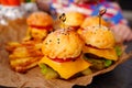 french fries and Mini burgers for a children's party or picnic. Royalty Free Stock Photo