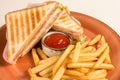 French fries and two sandwiches with cheese, sausage and lettuce leaves in a grunge plate, in the middle of a piano with ketchup s Royalty Free Stock Photo