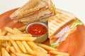 French fries and two sandwiches with cheese, sausage and lettuce leaves in a grunge plate, in the middle of a piano with ketchup s Royalty Free Stock Photo