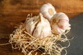 French garlic from the market