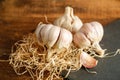 French garlic from the market