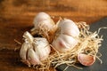 French garlic from the market