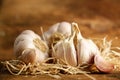 French garlic from the market