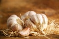 French garlic from the market