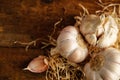 French garlic from the market
