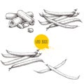 French green beans pods set. Collection of hand drawn sketches. Whole and cut. Vector illustrations isolated on white background.