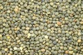 French green lentils (lentilles du Puy) Royalty Free Stock Photo