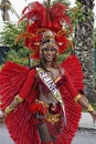 French Guiana Annual Carnival Royalty Free Stock Photo