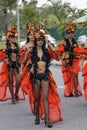 French Guiana Annual Carnival Royalty Free Stock Photo