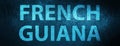 French Guiana special blue banner background