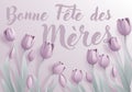 Mothers Day French Bonne Fete Des Meres Design