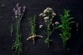 French herbs on the black desk