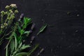 French herbs on the black desk