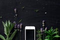 French herbs and phone on the black desk