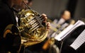 French horn Royalty Free Stock Photo