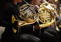 French horn Royalty Free Stock Photo