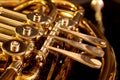 French Horn Royalty Free Stock Photo