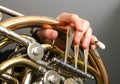 French horn Royalty Free Stock Photo