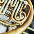 French Horn Royalty Free Stock Photo